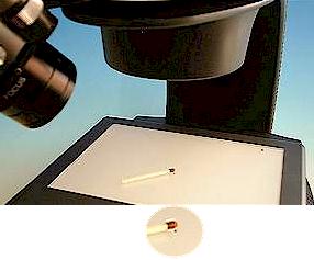 match11.jpg (11849 Byte)